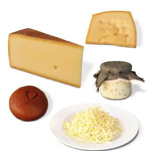 Käse der Bregenzerwälder Käsestrasse